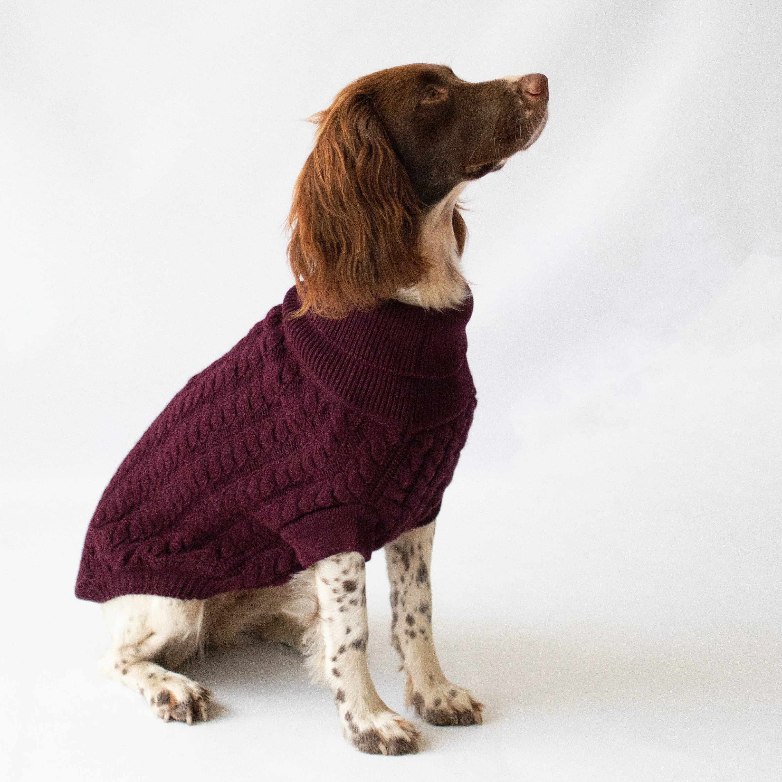 Burgundy Red Cable-Knit Dog Jumper | Warmth & Style for Your Pet