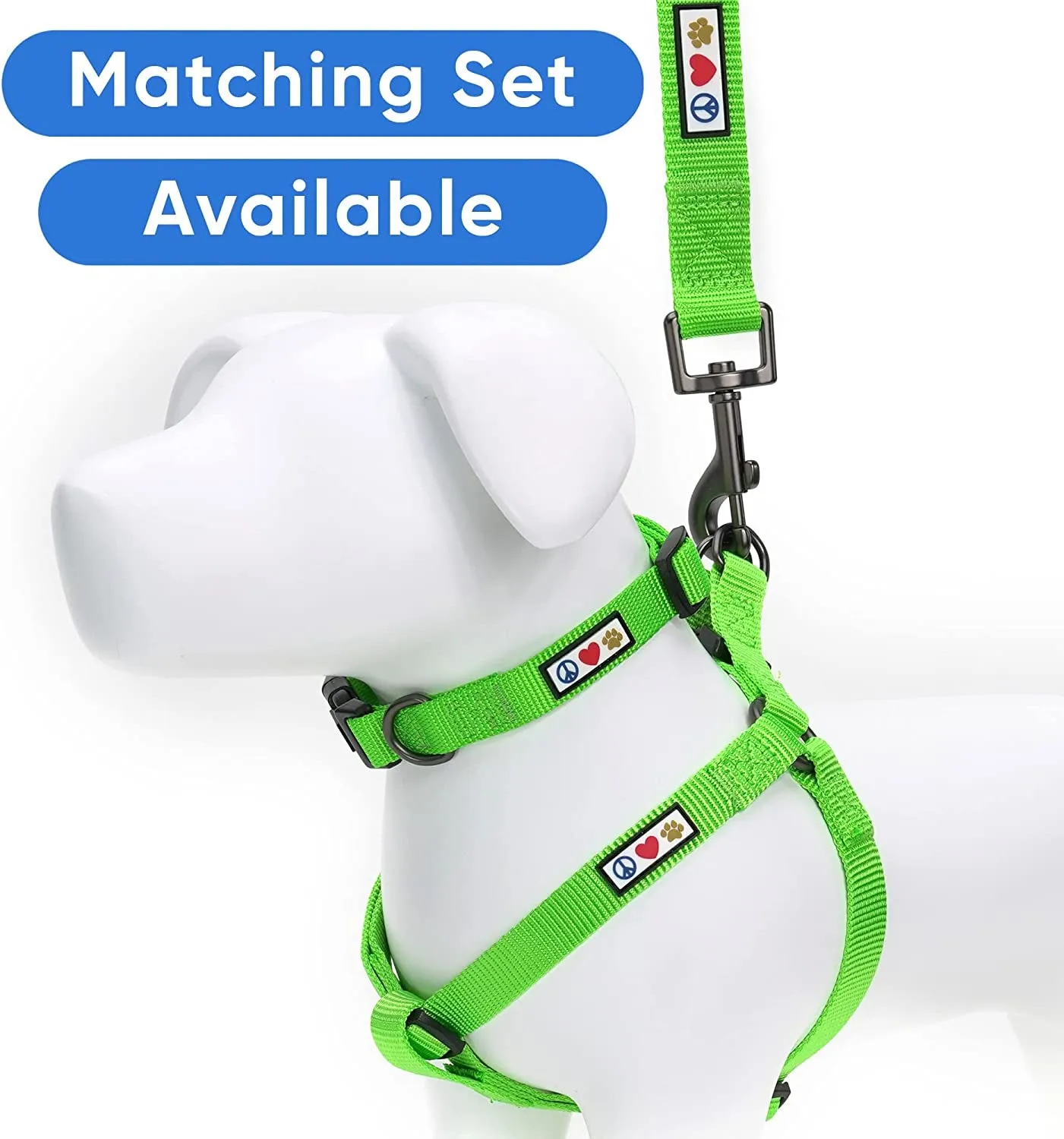 Dog Collar for Large Dogs - Meet Adventure Pup! 🐾🌲