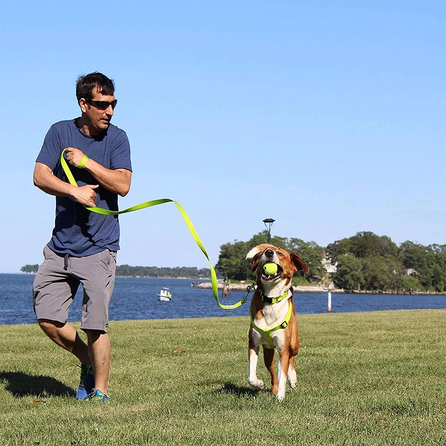 Dog Collar for Large Dogs - Meet Adventure Pup! 🐾🌲