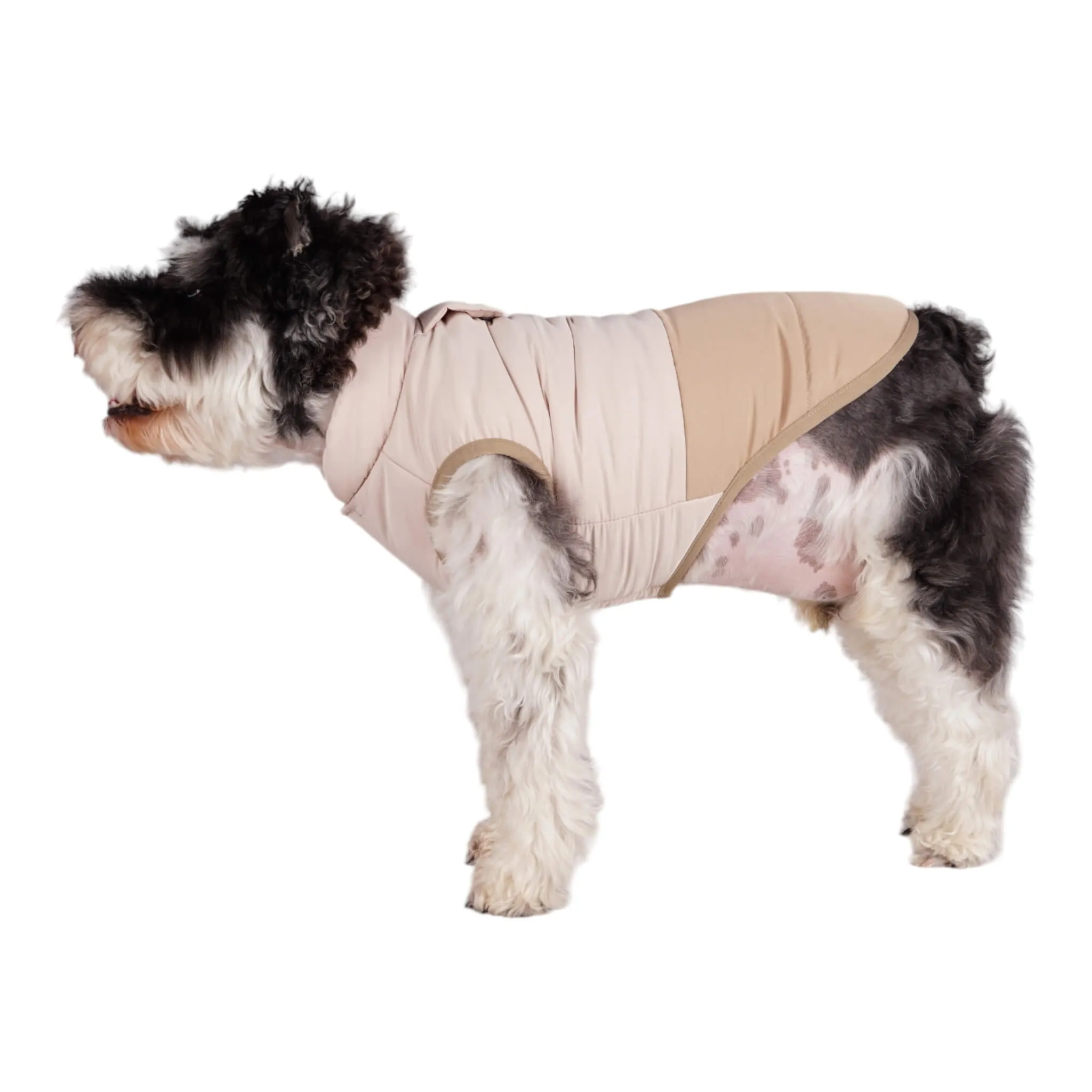 Durham Dog Coat