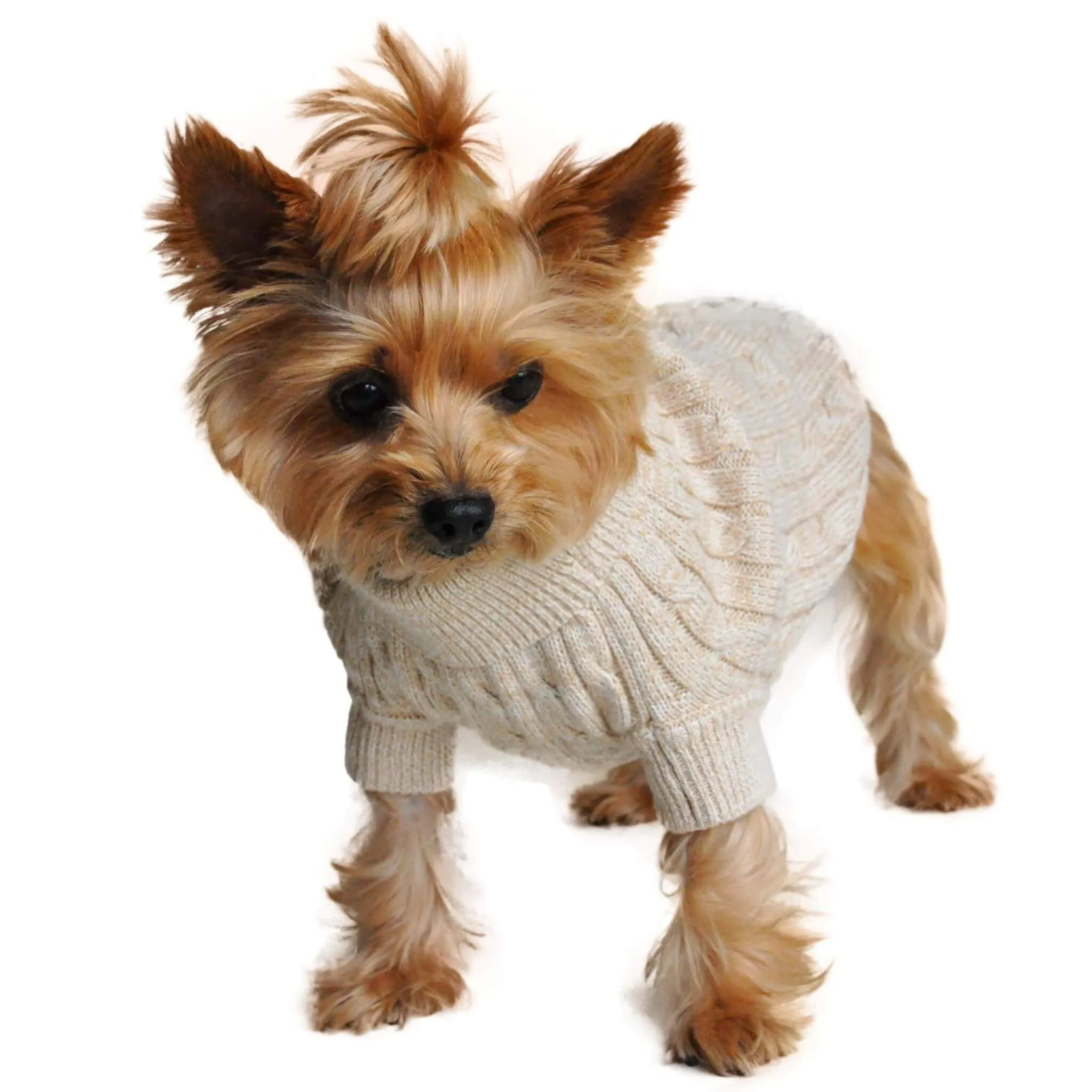 Oatmeal Combed Cotton Cable Knit Dog Sweater